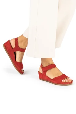 Damen El Naturalista 5851 Picual